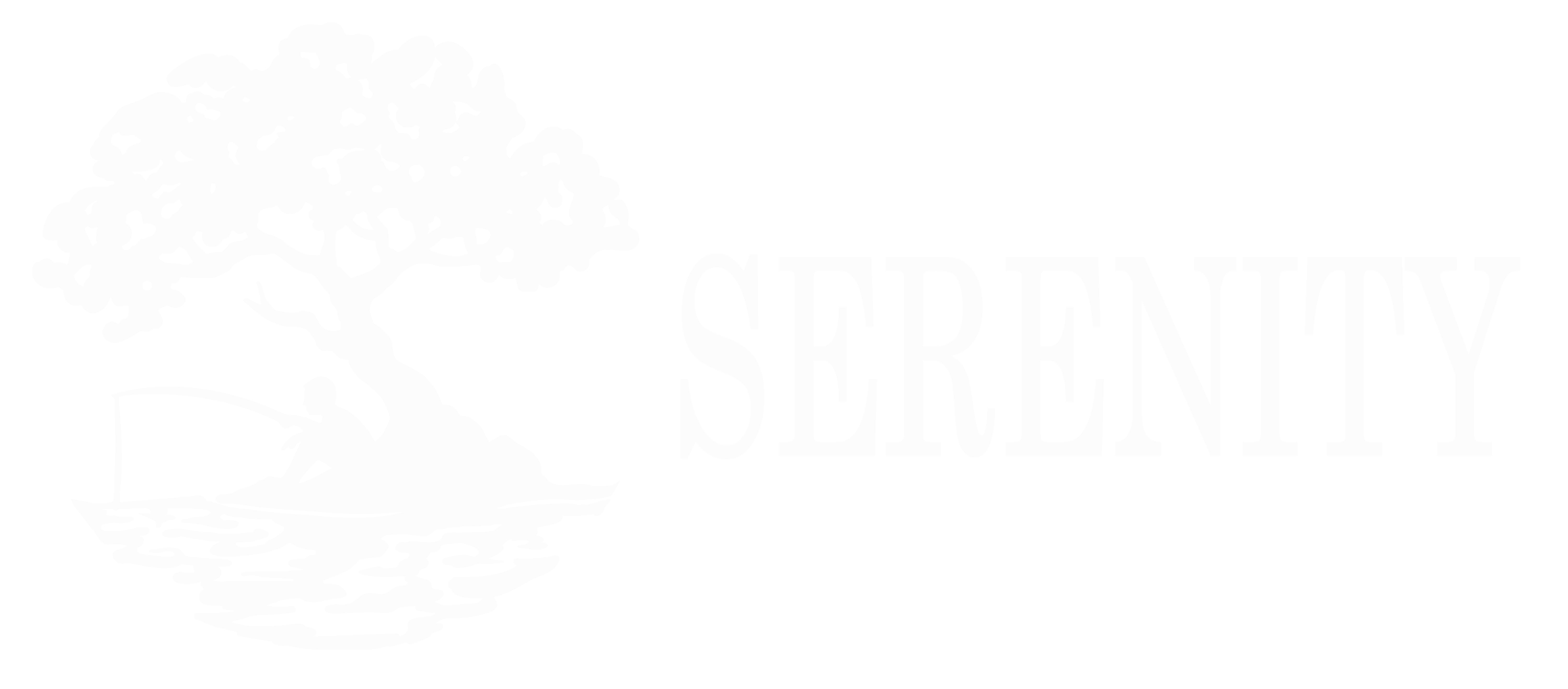 Contact Us Serenity